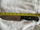 small bowie4.jpg
