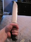 IMG_0288.jpg