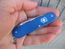 Blue Alox Cadet.JPG