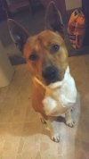 Resized_2018-04-27_09.02.27.jpeg