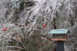 DSC_0202.JPG
