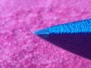 20190125_162636_HDR-1.jpg