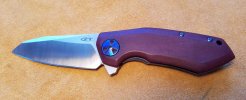 ZT 0456 CF.jpg ZT 0456 CF.jpg