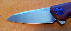 ZT 0456 CF2.jpg ZT 0456 CF2.jpg