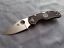 spyderco native 5 light.jpg