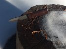 IMG_3904.JPG