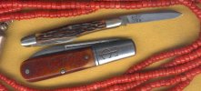 Catt small whittler coral 2.jpg