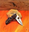 Spyderco CHAPARRAL raffir noble.JPG