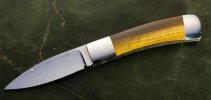 tiger-eye-slippy-1.jpg