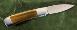 tiger-eye-slippy-2.jpg