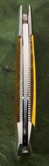 tiger-eye-slippy-5.jpg