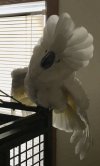 5B680264-B611-4D3B-BBCE-0D7483834505.jpeg