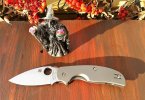Spyderco Sage ll .JPG