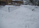 snow.piles.east of driveway.jpg