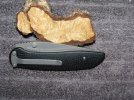 IMG_3369.JPG