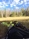 Elk_092018.jpg