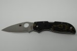 DSC03093.jpg