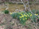 IMG_1905.jpg