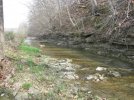 IMG_1910.jpg