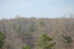 DSC_0935.jpg