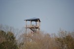 DSC_0940.jpg