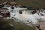 DSC_0923.jpg