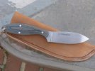 new skinner april 2010 012.jpg