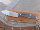 new skinner april 2010 013.jpg