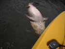 DSCN5946.JPG