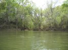 DSCN5968.jpg