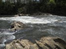 DSCN5989.jpg