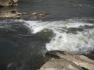 DSCN5994.jpg