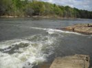 DSCN5995.jpg