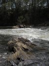 DSCN6015.jpg