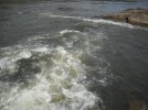 DSCN6018.jpg