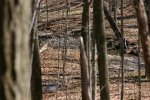 IMG_3070_.jpg