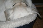 IMG_3937.jpg