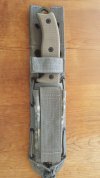 ESEE 5 in sheath.jpg