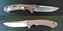 ZT04502.jpg