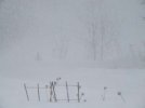 DSCF4051 WINTER STORM 650 MED.jpg
