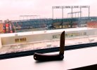 Bullnose-baltimore.jpg