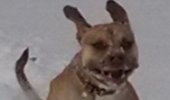 20190214_183100.jpg
