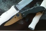 Spyderco Stretch CF2.JPG