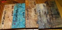 DSCN0104.JPG