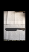 4CAE2B57-BD7D-4572-A852-CC3A90D50D3B.png