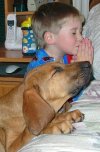 dogprayers2.jpg