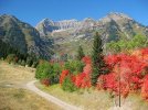 3_1254162445_mount-timpanogos.jpg