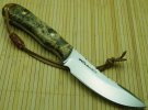 BA BOX ELDER 002.jpg