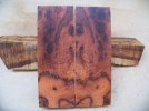brucewood10.jpg
