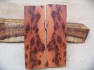 brucewood9.jpg